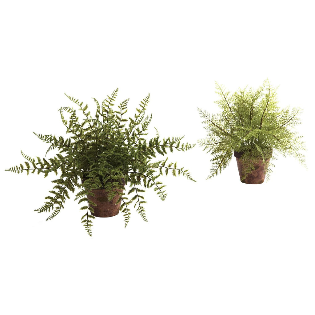 Fern w-Decorative Planter (Set of 2)