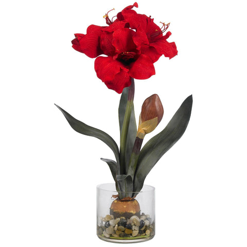 Amaryllis w-Round Vase