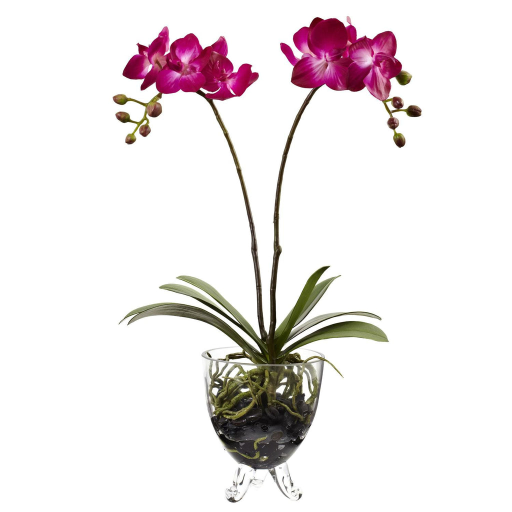 Double Phalaenopsis Elegance Arrangement