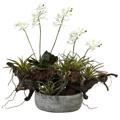 Orchid & Succulent Garden w-Driftwood & Decorative Vase