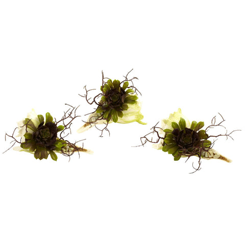 Wispy Succulent w-Seashell (Set of 3)