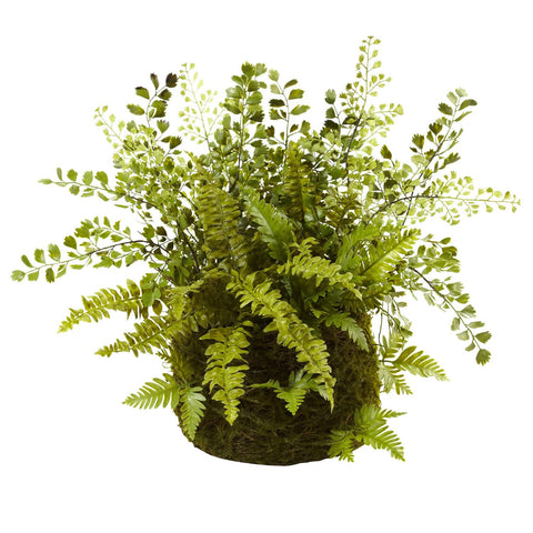 Mixed Fern w-Twig and Moss Basket