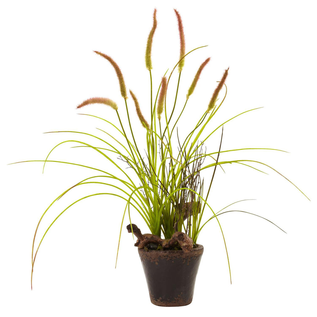 Swampy Cattail Garden w-Planter