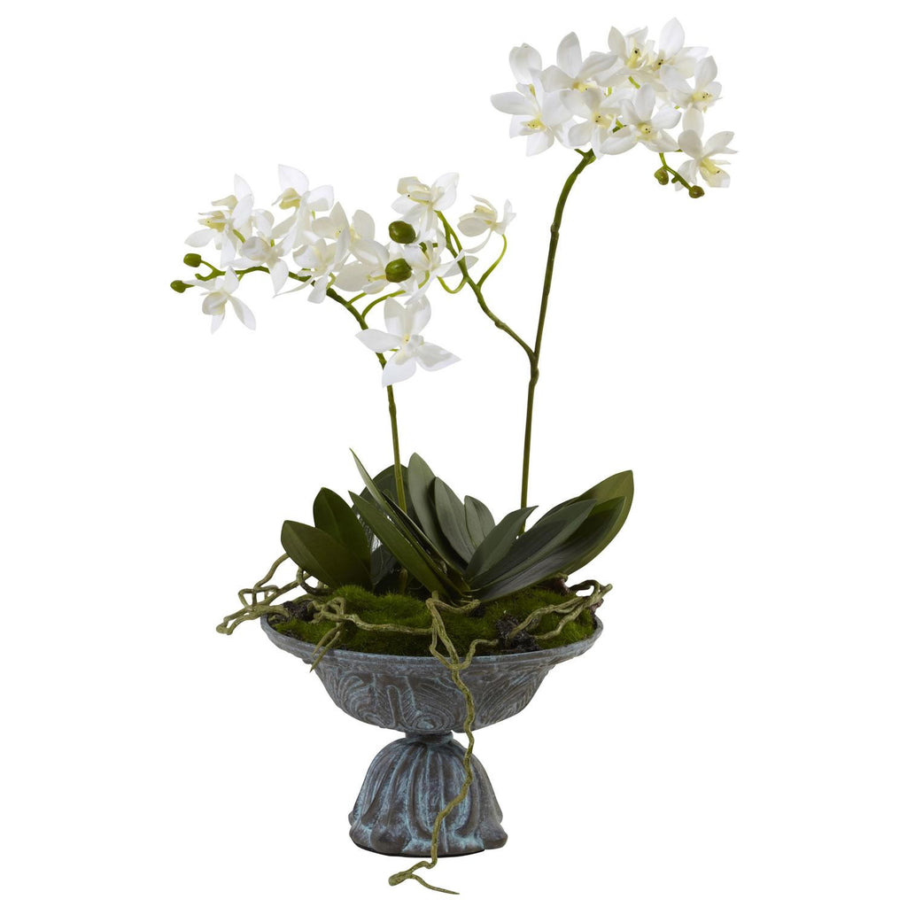 Mini Dendrobium w-Metal Vase