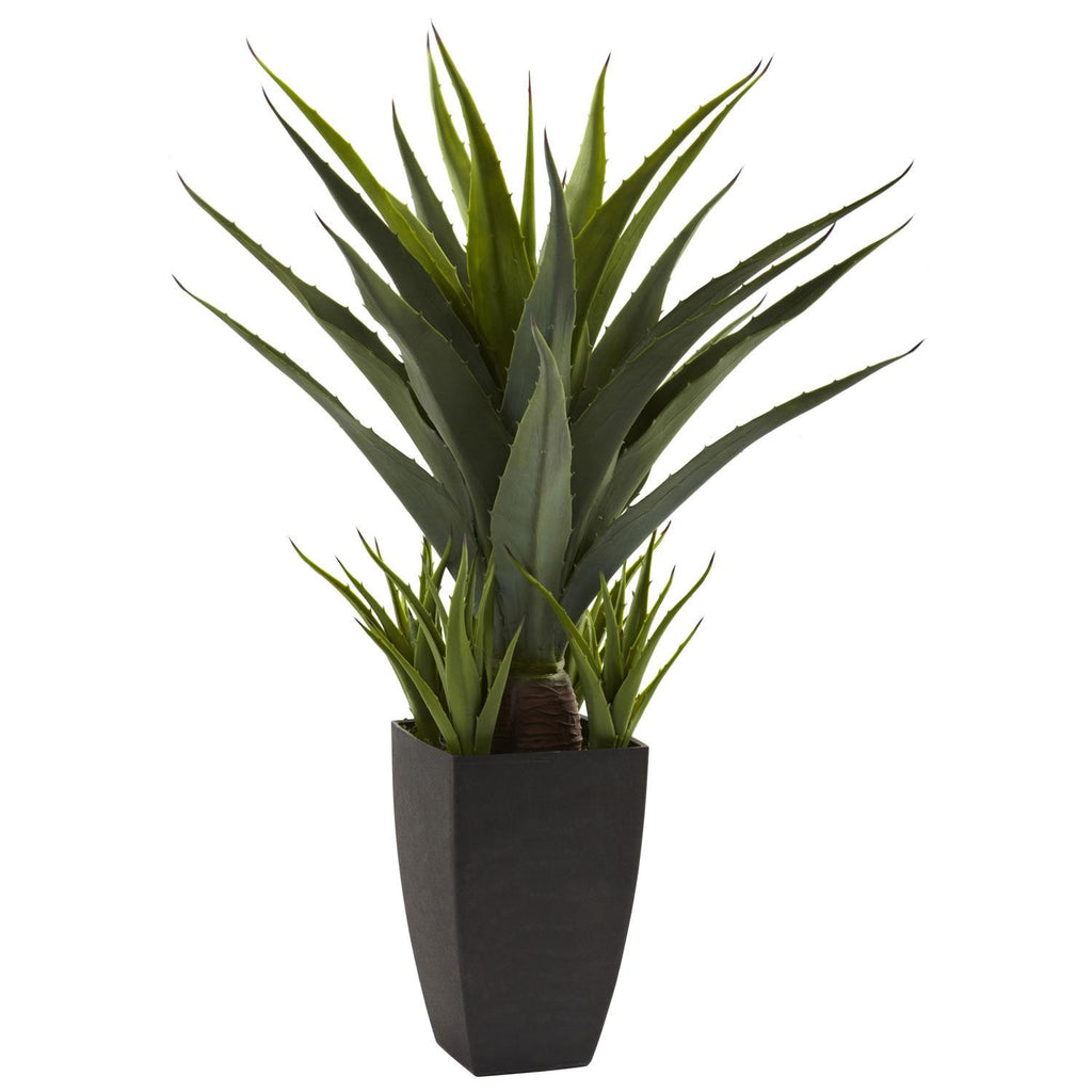 Agave w-Black Planter