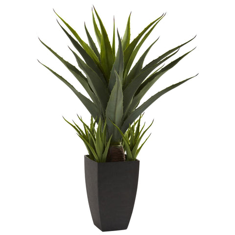 Agave w-Black Planter