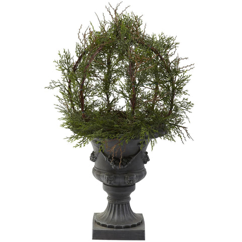 30" Pond Cypress Topiary w-Urn (Indoor-OutDoor)