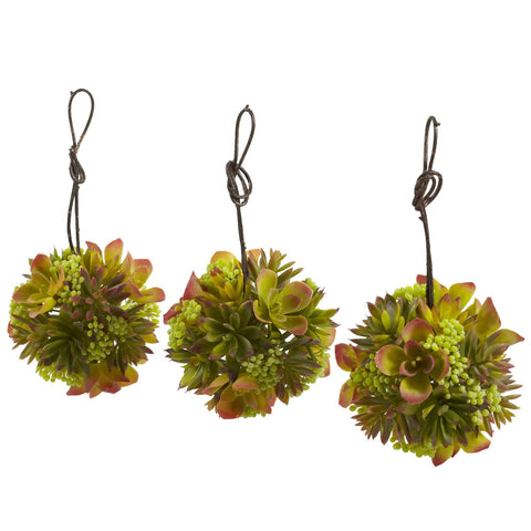 5" Mixed Succulent Hanging Ball (Set of 3)