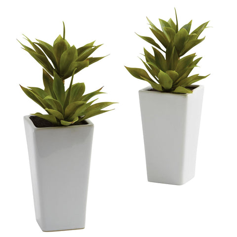 Double Mini Agave w-Planter (Set of 2)