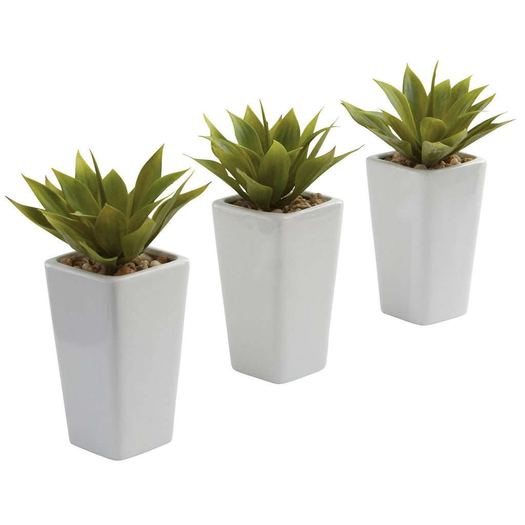 Mini Agave w- Planter (Set of 3) White