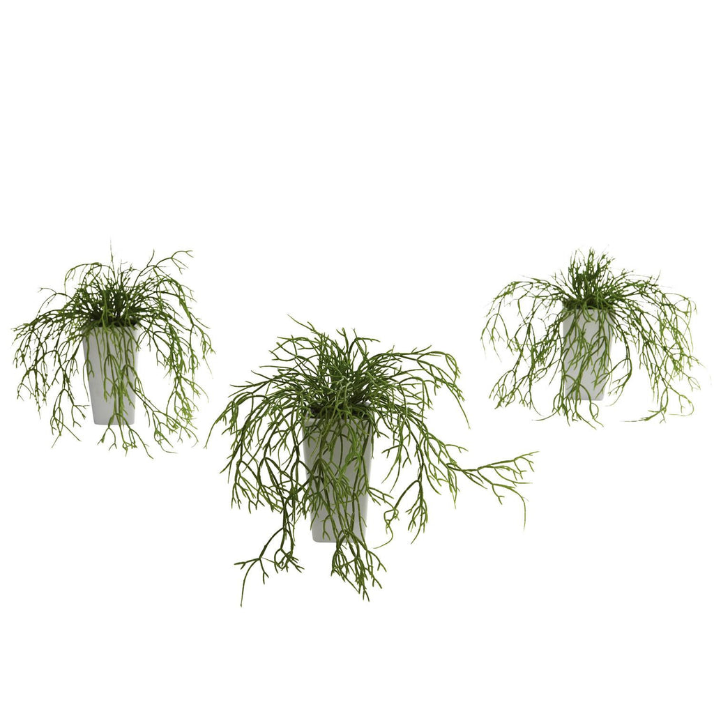 Wild Grass w-White Vase (Set of 3)