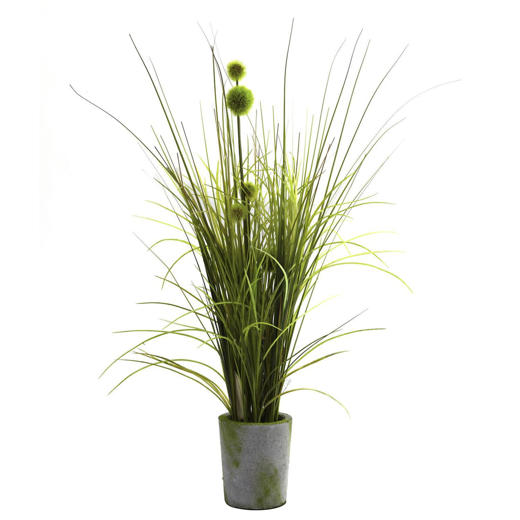 Grass & Dandelion w-Cement Planter