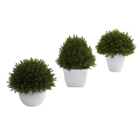 Mixed Cedar Topiary Collection (Set of 3)