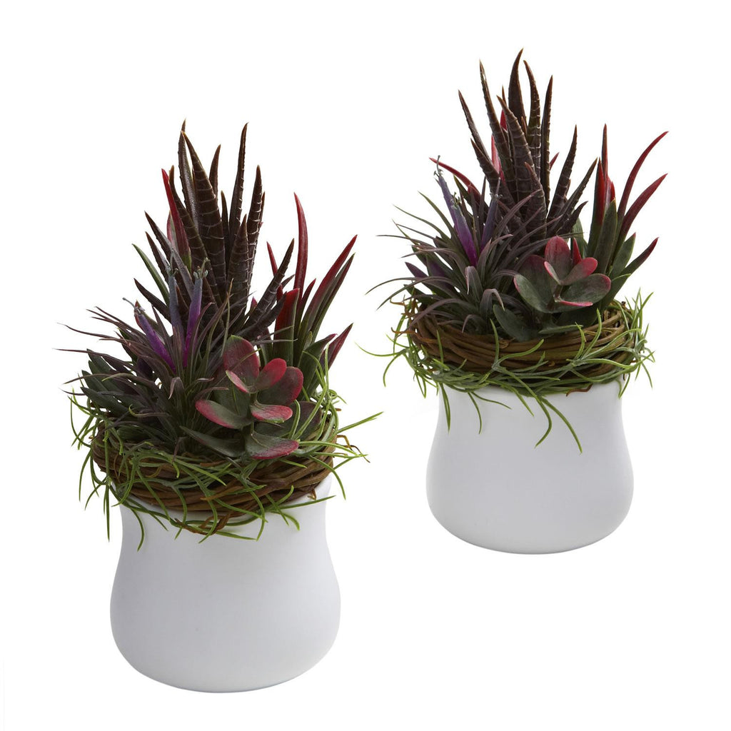 Mixed Succulent w-White Planter (Set of 2)