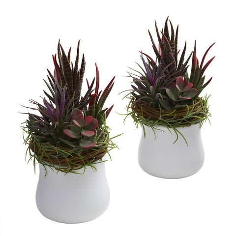 Mixed Succulent w-White Planter (Set of 2)