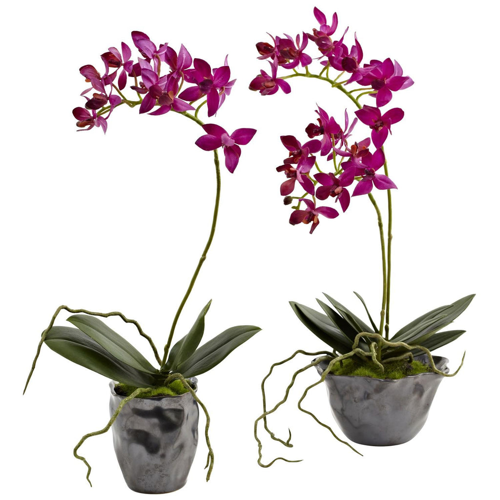 Mini Phal w-Metallic Vase (Set of 2)