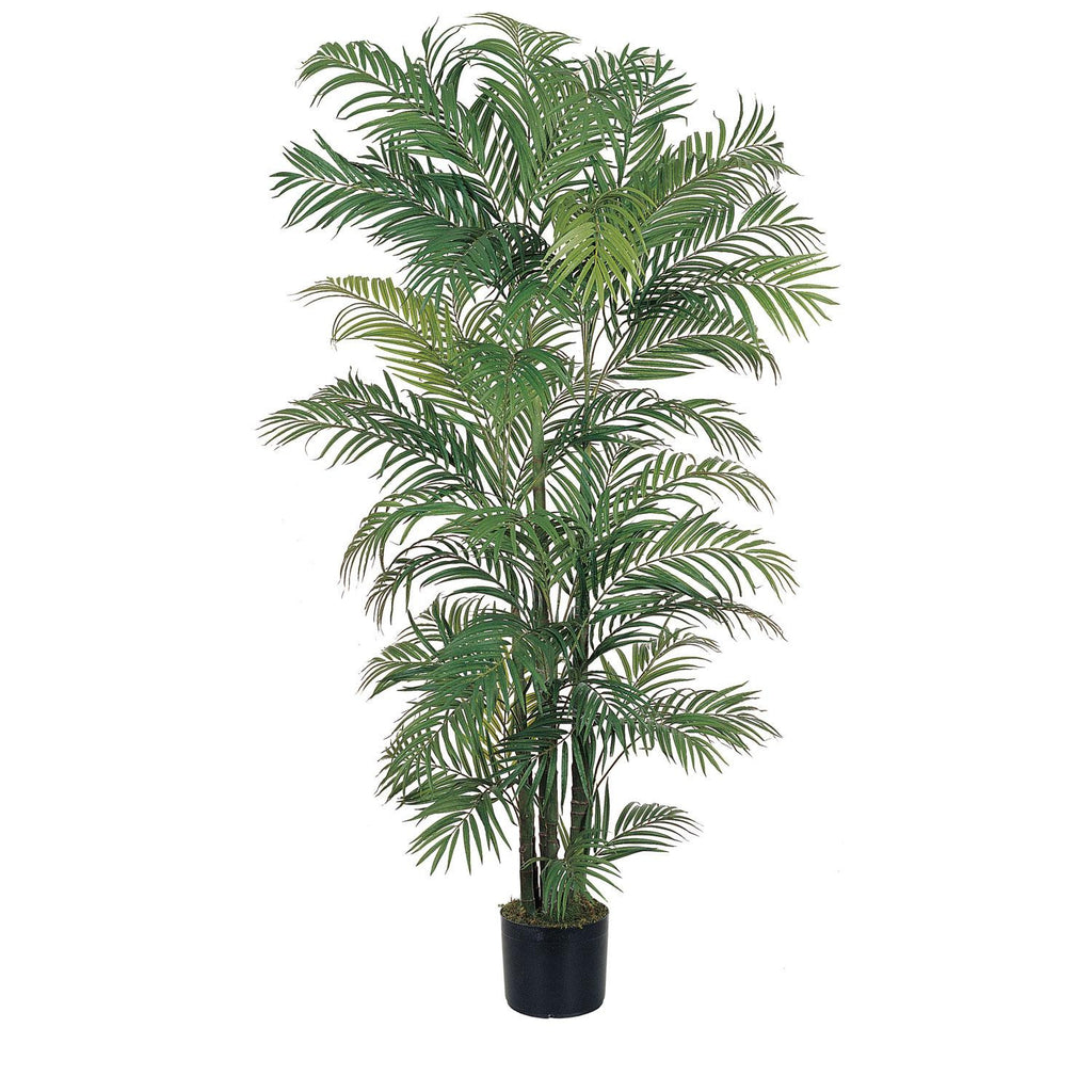 6' Areca Silk Palm Tree