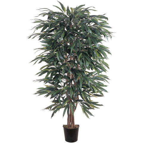 5' Weeping Ficus Silk Tree