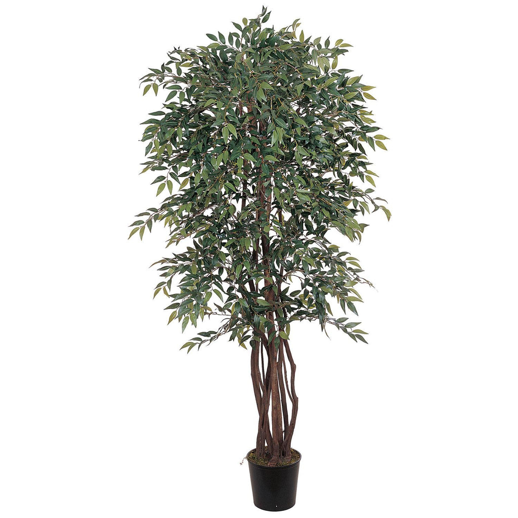 6' Smilax Silk Tree