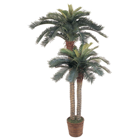 6' & 4' Sago Palm Double Potted Silk Tree