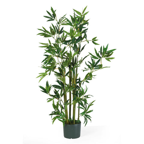 4' Bamboo Silk Plant