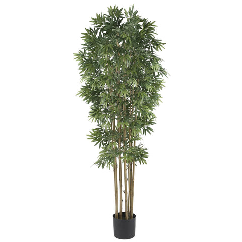 6' Bamboo Japanica Silk Tree