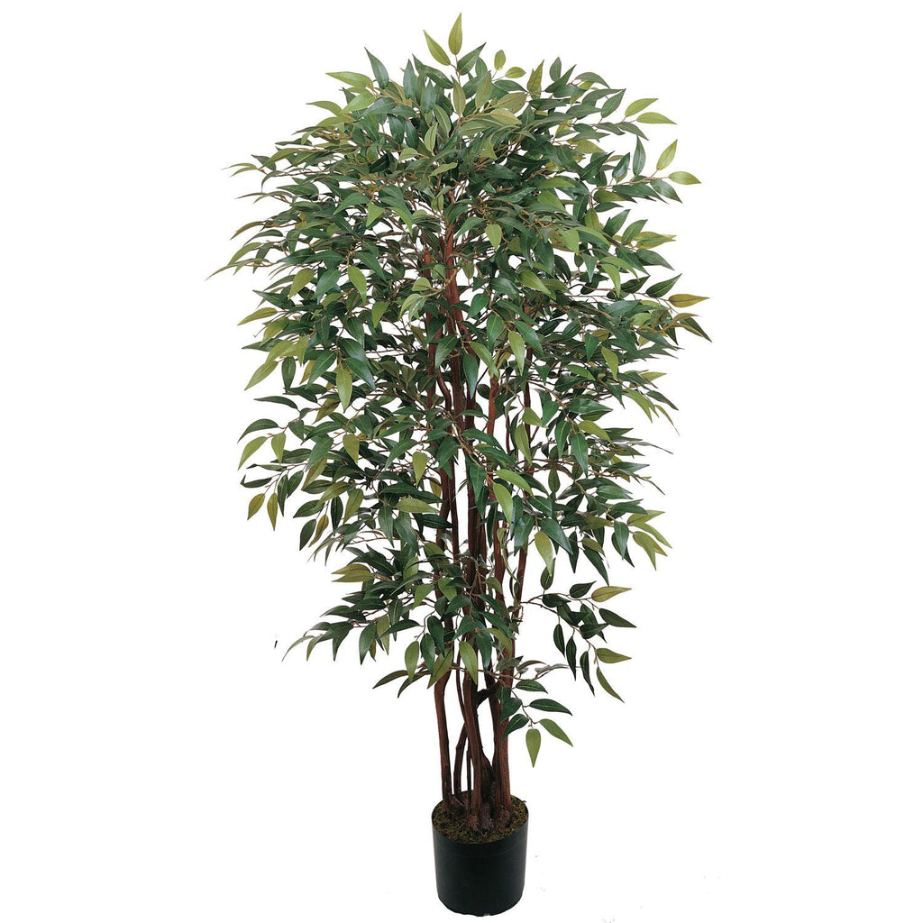 4' Similax Silk Tree