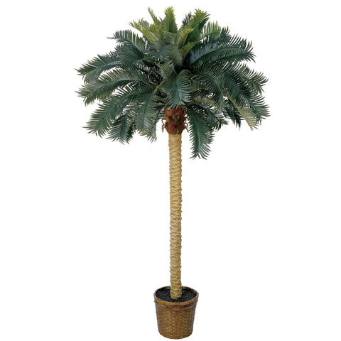 6' Sago Palm Silk Tree