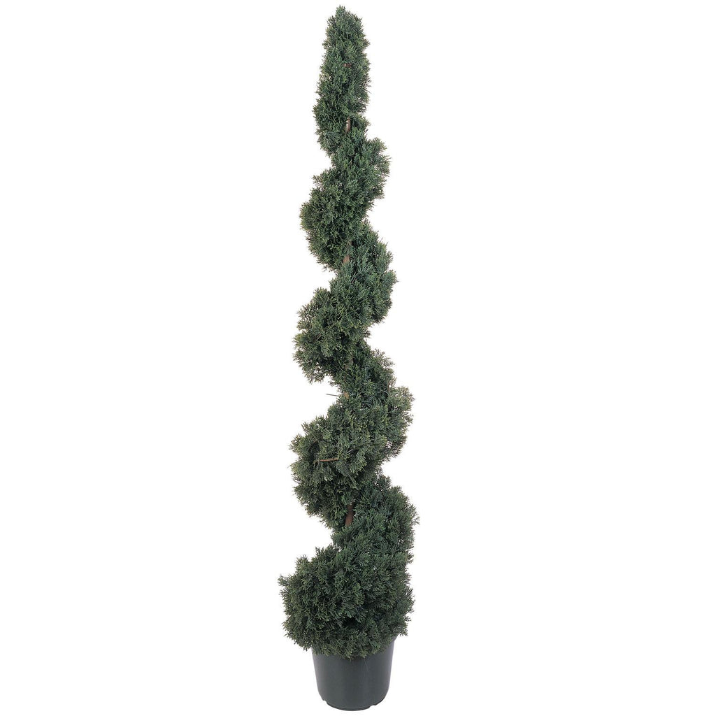 5' Cedar Spiral Silk Tree (In-door-Out-door)