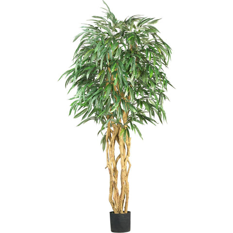 6' Weeping Ficus Silk Tree