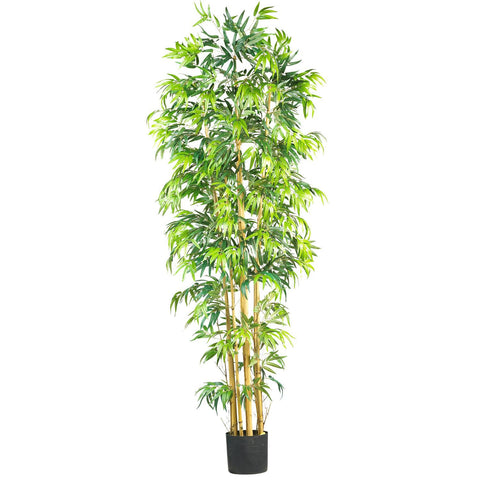 7' Multi Bambusa Bamboo Silk Tree