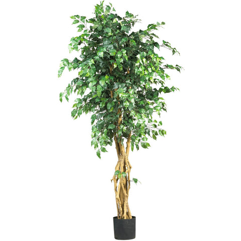 6'  Palace Style Ficus Silk Tree