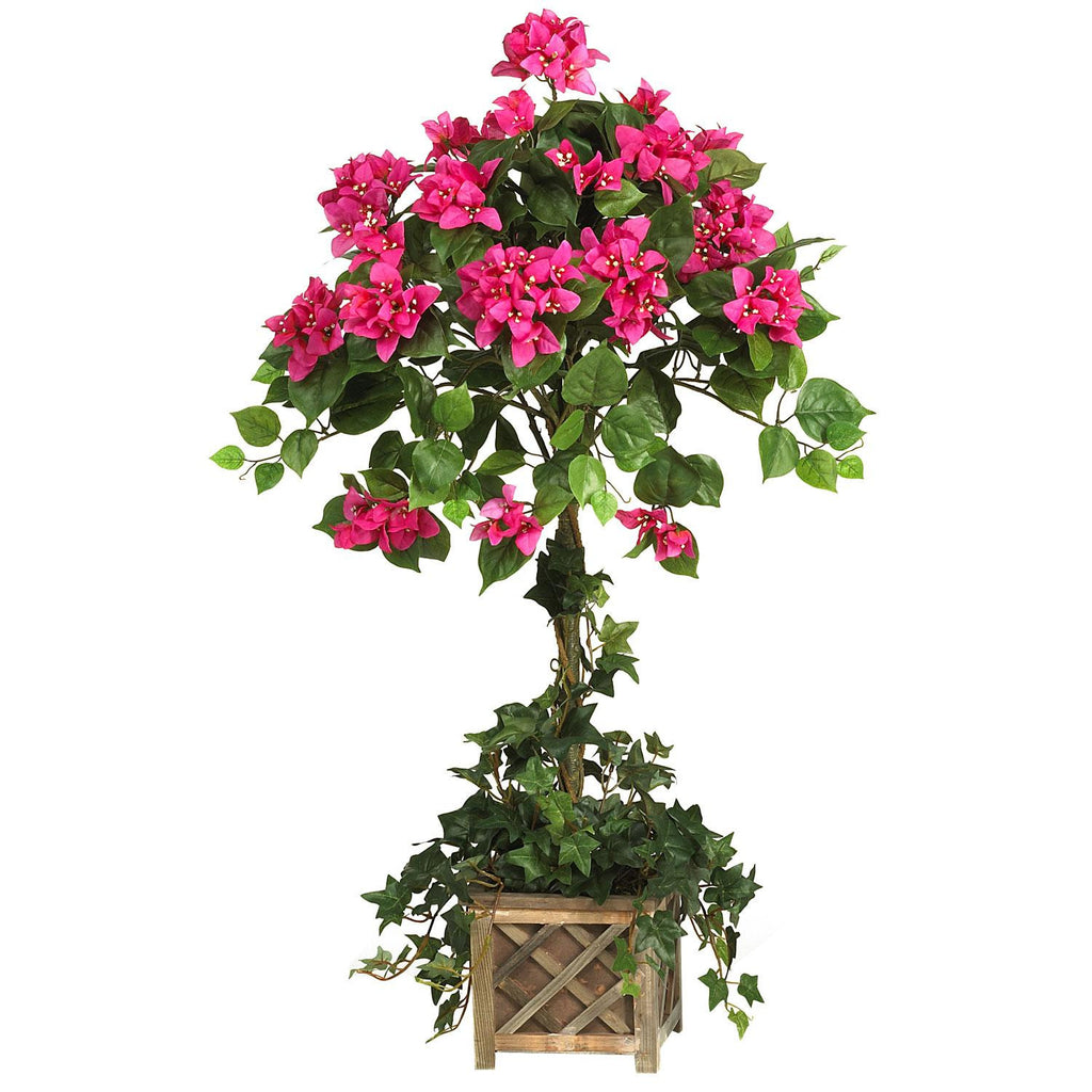 Bougainvillea Topiary w-Wood Box