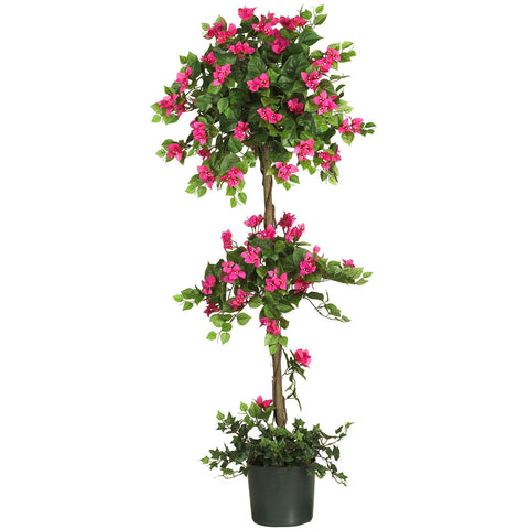 5' Mini Bougainvillea Topiary