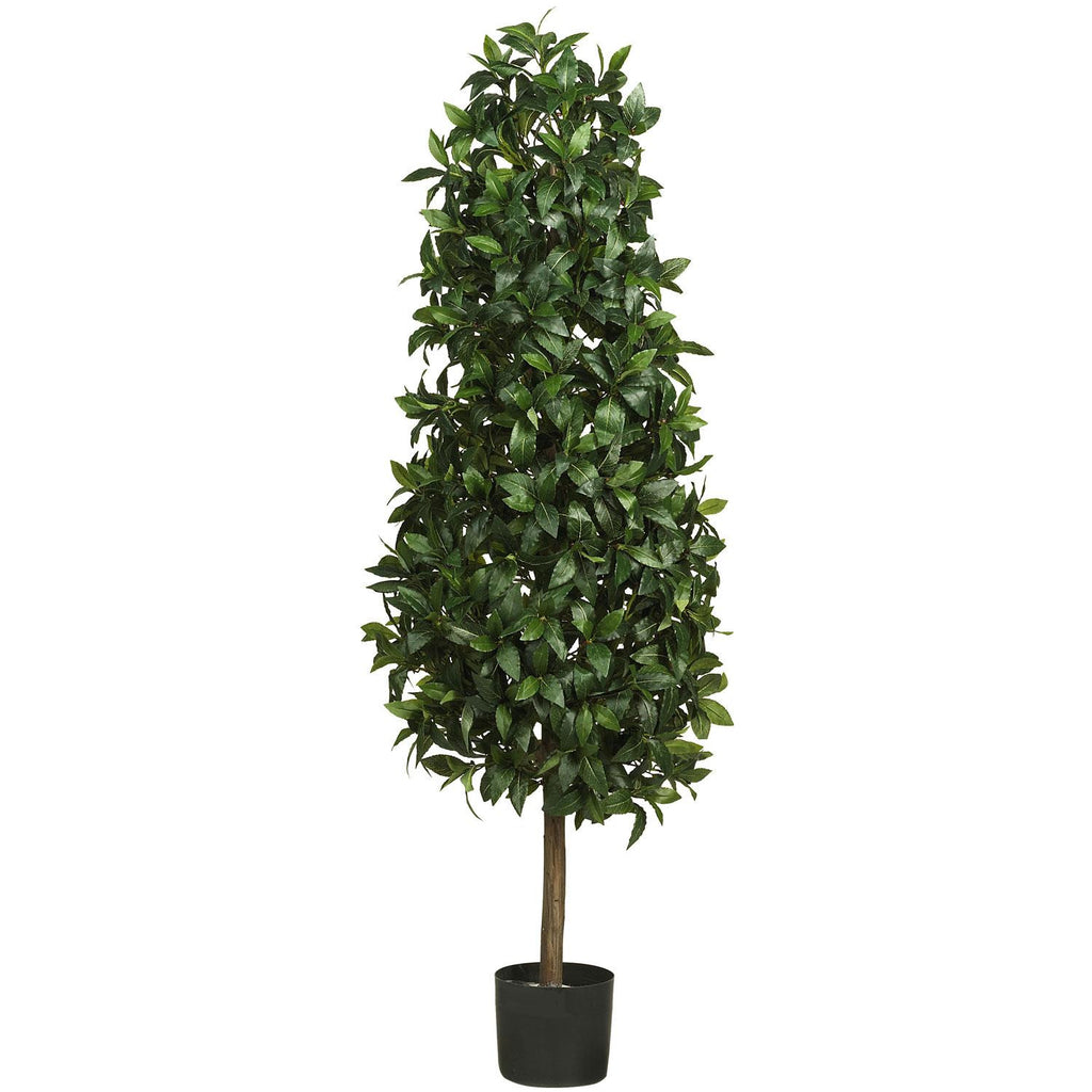 5' Sweet Bay Pyramid Silk Tree