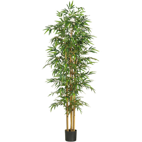 75" Bamboo Silk Tree