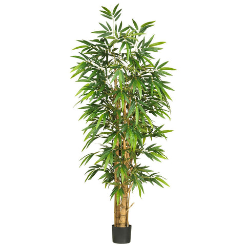 6' Belly Bamboo Silk Tree