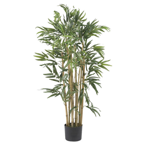 3' Multi Bambusa Bamboo Silk Tree