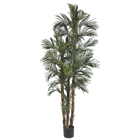 6' Robellini Palm Silk Tree