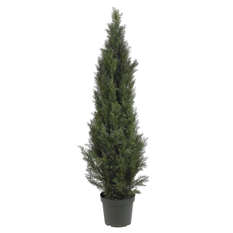 5' Mini Cedar Pine Tree (Indoor-Outdoor)