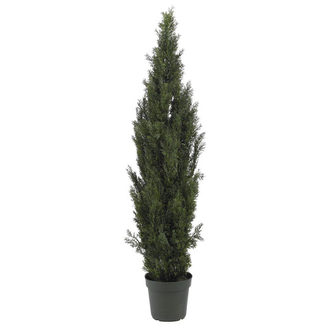 6' Mini Cedar Pine Tree (Indoor-Outdoor)