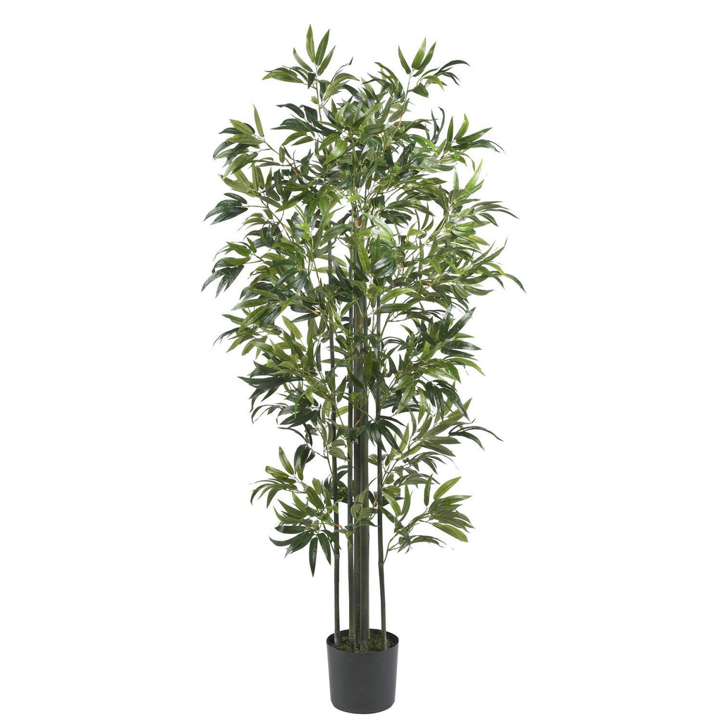 6' Bamboo Silk Tree (Green Trunks)