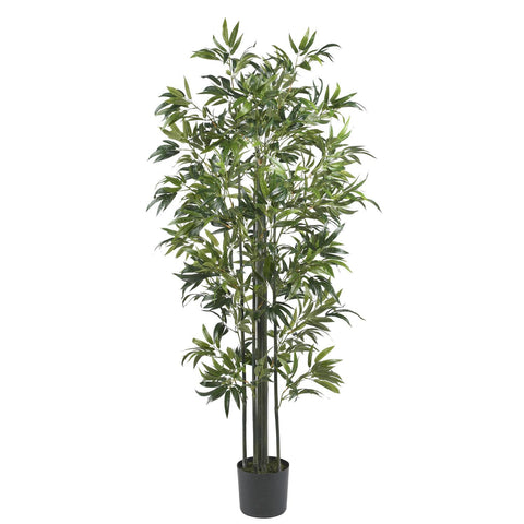 6' Bamboo Silk Tree (Green Trunks)