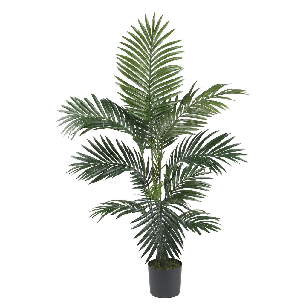 4' Kentia Palm Silk Tree