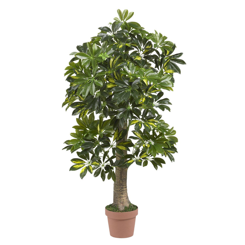 4' Schefflera Silk Tree (Real Touch)