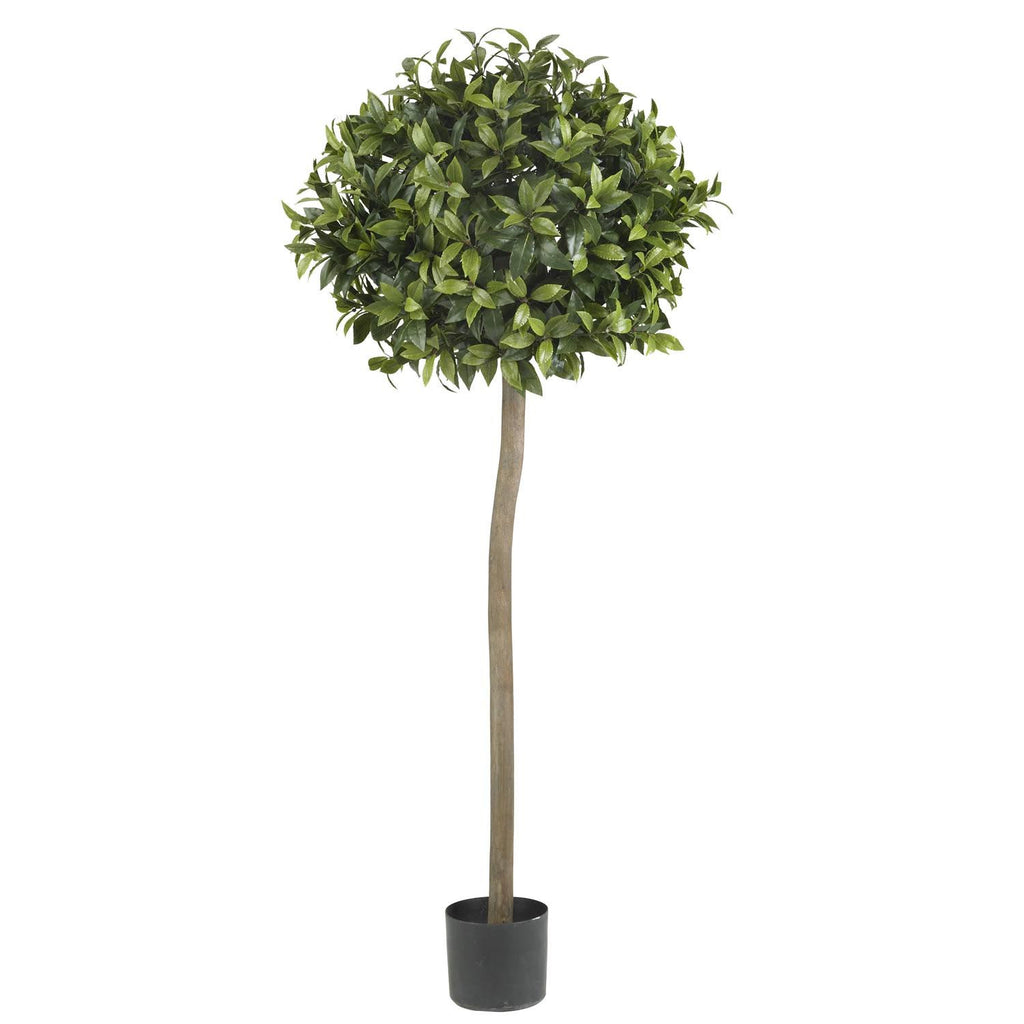 5' Sweet Bay Ball Topiary Silk Tree