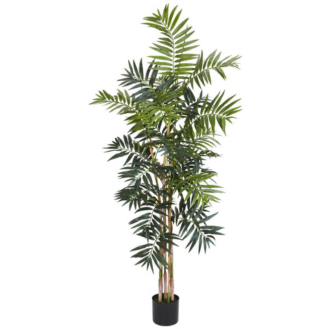 5' Bamboo Palm Silk Tree