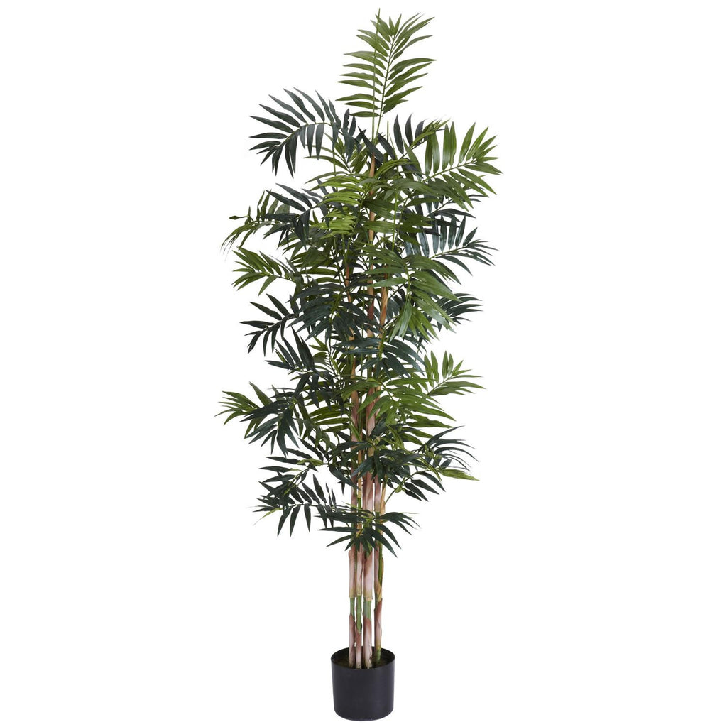 6' Bamboo Palm Silk Tree