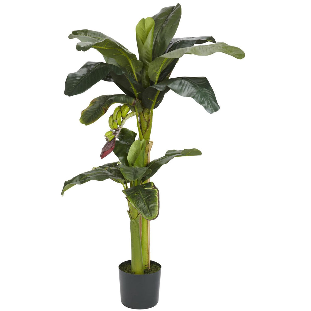 5'+3' Banana Silk Tree w-Bananas