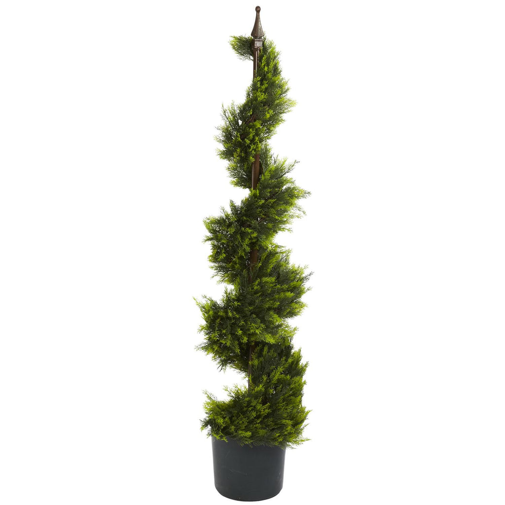 4' Cypress Spirial Silk Tree